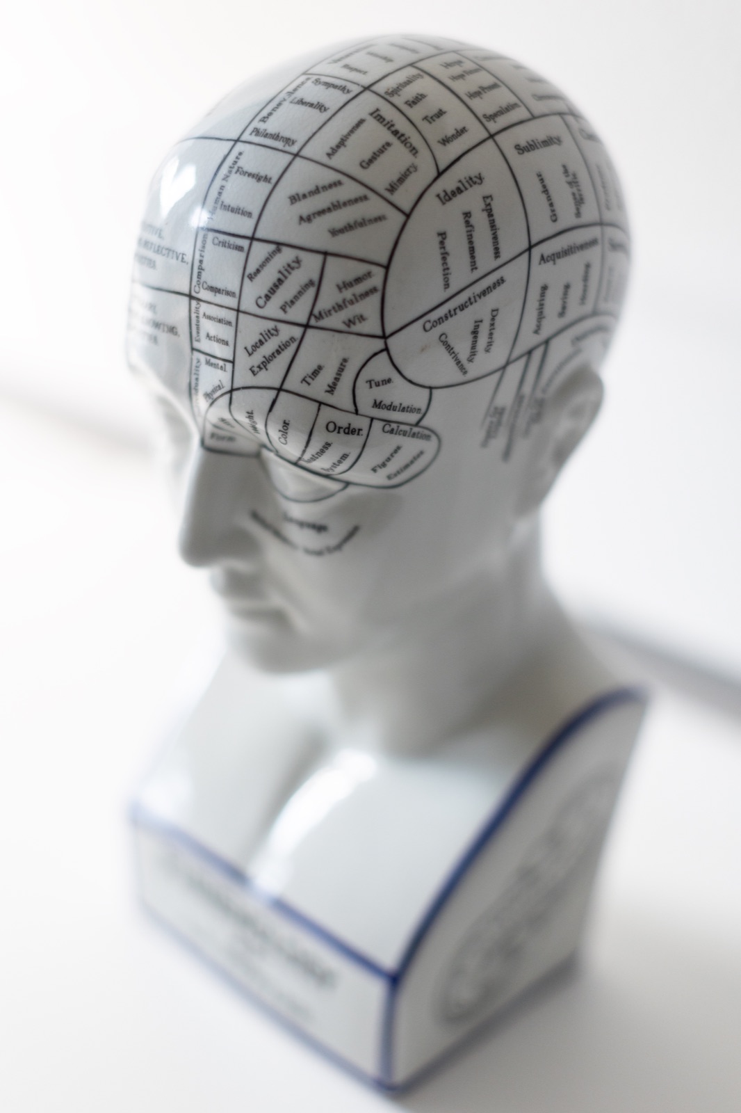 Ruhige Atmosphäre im Institut für Rechtspsychologie und Psychotherapie.